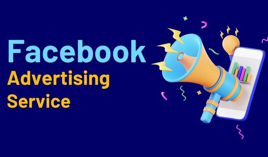 Facebook Ads agency in Udaipur